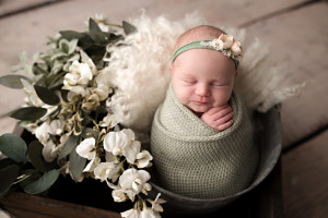 newborn springfield illinois